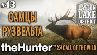 theHunter call of the wild #43  - Самцы Рузвельта - Арбалет, Винтовка - Лось, Олень