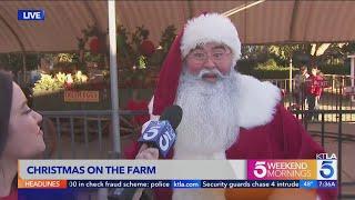 Underwood Family Farms hosts Christmas on the Farm 