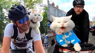 Cat Begs Dad To Take Her On Bike Rides 
