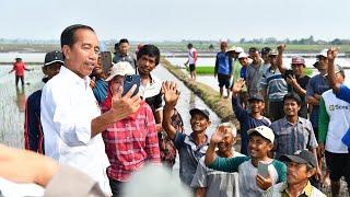 Presiden Jokowi Tinjau Pompanisasi di Lampung Selatan, 11 Juli 2024