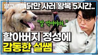 "항상 대박이를 위해 기도해요" 고물상에서 발견된 개.. 연로한 몸으로 3년 동안 정성껏 돌봐준 노부부에 감동한 설쌤┃세상에 나쁜 개는 없다┃알고e즘