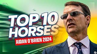 Top 10 Aidan O’Brien Greatest Horses of 2024 | City Of Troy To Kyprious