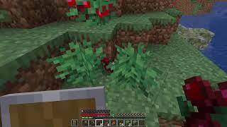 MINECRAFT HARDCORE 12 HOUR LIVESTREAM