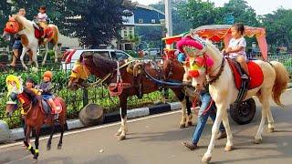 Kuda ~ Naik Kuda Delman Istimewa ~ Lagu Naik delman ~ delman ~ Kuda Delman ~ Kuda tunggang~Kuda Kuda