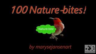 100 Nature-bites by marysejansenart