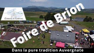 Foire traditionnelle aux bestiaux de Brion - Compains (63) dans la pure tradition Auvergnate