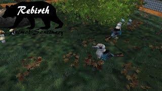 Zoo Tycoon 2: Rebirth Animal Sanctuary Part 2 - For the Birds