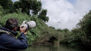 Shot on Canon EOS R6 with Wildlife Photographer Canon EOS Maestro Sachin Rai