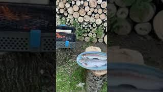 Grilled Rainbow Trout over fire - outdoor cooking