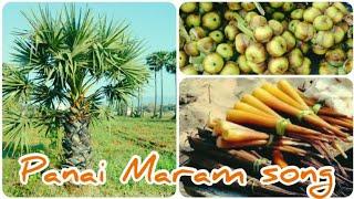 Panai Maram Song | Palm Tree Song In Tamil