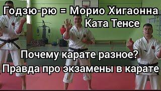 Ката Тенсе, стили Годзю-рю, экзамены по карате, как часто делать ката? Морио Хигаонна