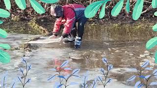 Muddy and Icy water damp /Jham RD