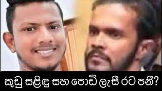 කුඩු සළිඳු සහ පොඩි ලැසී රට පනී? Podi lesi | Kudu Salindu