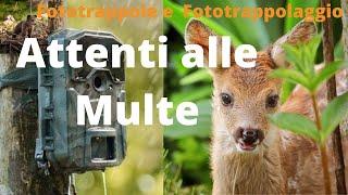 Fototrappola e Fototrappolaggio attenti alle multe!!