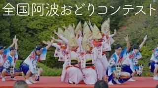 National Awaodori Contest: A Stunning Performance in a Japanese Garden | Awaodori in Tokushima Japan