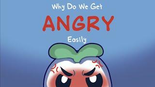 Why Do You Get Angry Easily?