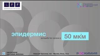 Эпидермис: волшебство жизни в 50 мкм