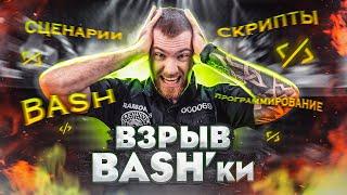 Как писать BASH скрипты? Закладывание основ или начало с нуля