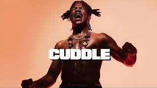 [FREE] “CUDDLE” Rema x Wizkid x Afrobeat Type beat 2024