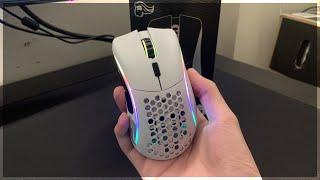 Are Glorious Mice Still Worth It? - Model D Minus Wireless Review