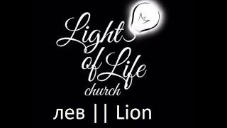 Лев - Ukraine (Cover) || Lion -  Elevation Worship || Bpm - 67