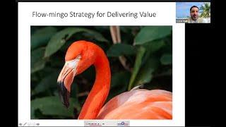 Flow-mingo Strategy- from Agile Metrics: Let My People Flow