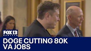 DOGE cutting 80k Veterans Affairs jobs | FOX 13 Seattle