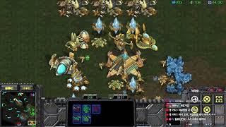 이렇게 완벽한 테란은 처음이라고 난리난경기력 Leto 스타팀플 헌터 Hunter TeamPlay StarCraft