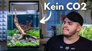 Aquascaping Tutorial: 30L Dennerle Nano Cube einrichten!