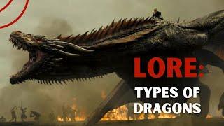 Dragons | Types and Origin of Dragons