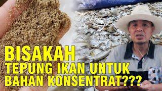 Tepung Ikan Pakan Ternak Sapi Sebagai Sumber Protein