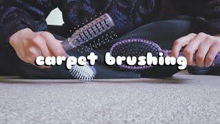 ASMR | 3 BRUSHES, 3 CARPETS | 20+ minutes of carpet brushing | NO TALKING | lofi asmr | 