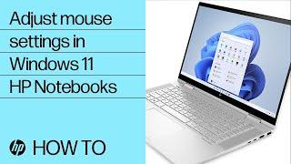 How to adjust mouse settings in Windows 11 | HP Notebooks | HP Support