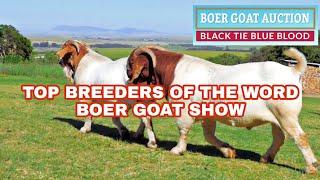 12 BREDER BOER GOAT AUCTION 2022