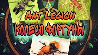 Ant Legion - Колесо фортуны,маленький секрет / wheel of fortune - a little secret