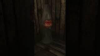 I never noticed Sierra Petrovita had this giant Nuka-cola bottle #fallout3