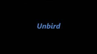 Unbird   Barty Aum  Desert Ghost