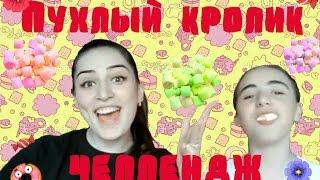 Ивангай? Марьяна Ро?Катя клеп?? Пухлый кролик челлендж!