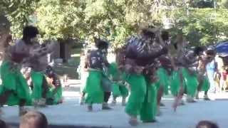 le pilou-pilou: danse traditionnelle kanake