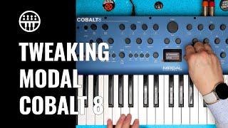 Tweaking the Modal Cobalt 8 | Review, Sounds & Jam | Thomann