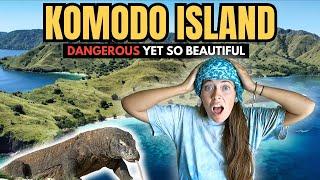 KOMODO ISLAND Indonesia - The MOST BEAUTIFUL Island in the WORLD  (Pink Beach, Padar Island)