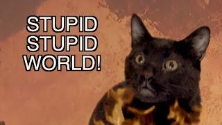 Talking Kitty Cat -  Stupid Stupid World 