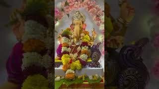 Ultimate CA Classes में बप्पा का स्वागत! Bappa at UCA office