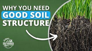 Building Structure In Soil | Soil Food Web School