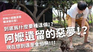 阿嬤遺留的惡夢！？到底為什麼要種這個！？現在想到還是會怕啊！！！【腦波弱日常】EP77