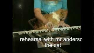 Jampot Band, Janet the Gannet (c)  Rehearsal with Mr anderson the cat .avi