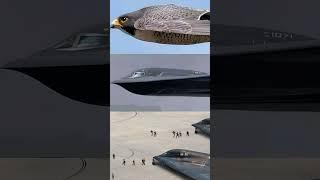 B-2 Spirit: The Ghost in the Machine