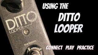 How to Use a Looper Pedal - Using the Ditto Looper