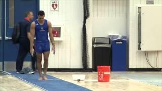 Danell Leyva - Vault - 2014 Men's National Qualifier