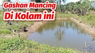 Disuruh Tes Mancing Kolam, Siapa takut?